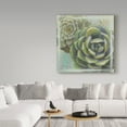 thumbnail image 3 of Trademark Fine Art 'Succulents II' Canvas Art by Wellington Studio, 3 of 3