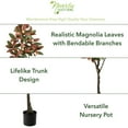 thumbnail image 3 of Nearly Natural 5' Magnolia Artificial Tree in Plastic Pot, 3 of 8