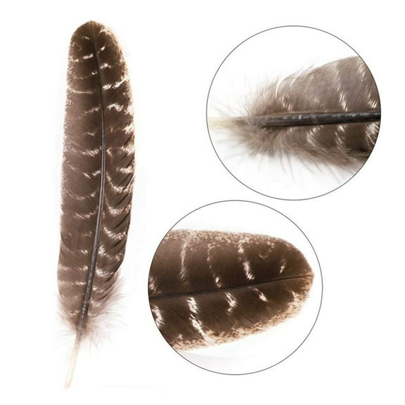 2024 5pcs of 5pcs of turkey nest feathers natural striped pattern turkey feather headdress accessories 2427cm feathers are really sold