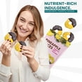 thumbnail image 5 of Premium All Natural Real Rich Dark Chocolate Dipped Tropical Pineapple Dried Fruit Slices 7oz Non GMO, No Added Colors Healthy Snacks Resealable Bag (1-Pack), 5 of 5