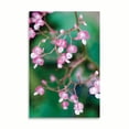thumbnail image 2 of Gango Home Decor Delicate Begonia I by Erin Berzel (Printed on Paper); One 24x36in Fine Art Paper Giclee Print, 2 of 4