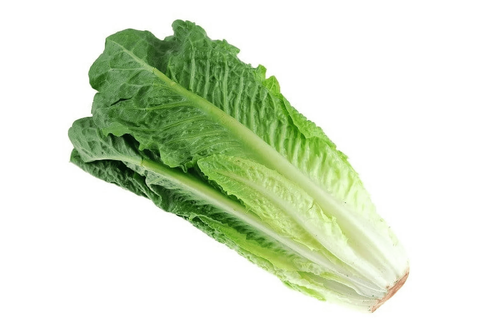 Fresh Romaine Lettuce Hearts 3 Count, Each