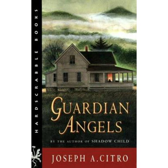 Pre-Owned Guardian Angels (Paperback) by Joseph A Citro