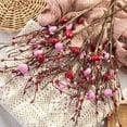 thumbnail image 6 of 3 Pcs Valentines Day Decor Artificial Hearts Flowers Berry Stems Gifts Pink Heart Shaped Berry Picks for Valentine’s Day,Wedding,Party Decorations, 6 of 7