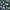 Oranges Pattern, variant on Yayeee 40oz Double-Wall Insulated Stainless Steel Tumbler with Handle Bottle, Oranges Pattern