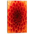 thumbnail image 2 of Pétales de Fleurs Orange - Impression sur Toile Florale, 2 of 3
