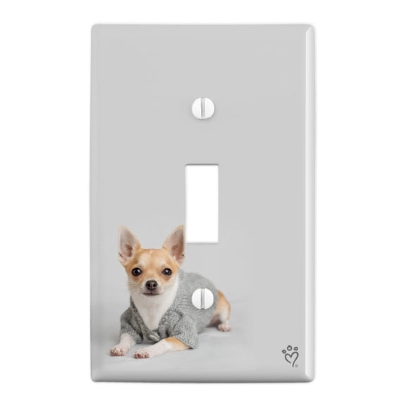 Chihuahua Little Dog in a Sweater Plastic Wall Decor Toggle Light Switch Plate Cover