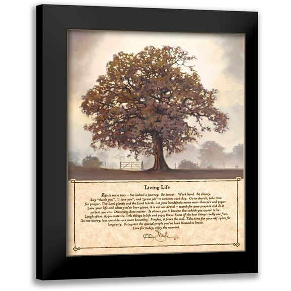 Mohr, Bonnie 12x14 Black Modern Framed Museum Art Print Titled - Living Life