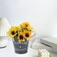 thumbnail image 5 of CREATITOY Vintage Iron Flower Pot Bucket Garden Patio Container, 5 of 6