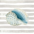 thumbnail image 2 of Pinto, Patricia 15x15 White Modern Wood Framed Museum Art Print Titled - Shell On Stripes, 2 of 4
