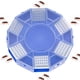 thumbnail image 1 of Caja De Trampa Para Cucarachas, Trampa Para Cucarachas Reutilizable No Tóxica, Control De Plagas Para Cocina Casera Guardurnaity HA036498-00, 1 of 6
