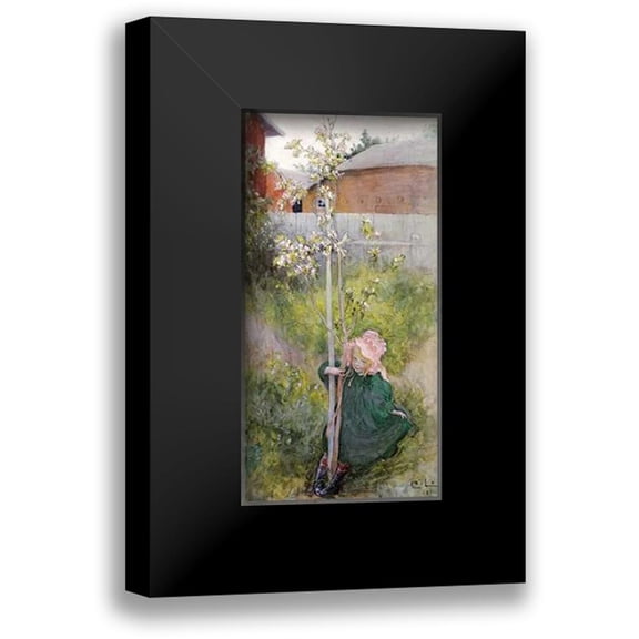 Larsson, Carl 9x14 Black Modern Framed Museum Art Print Titled - Appleblossom