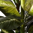 thumbnail image 2 of Nearly Natural Golden Dieffenbachia with Decorative Planter, Green, 2 of 3