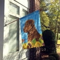 thumbnail image 2 of Carolines Treasures SS4165-FLAG-PARENT Curly Coated Retriever Flag  multicolor, 2 of 2