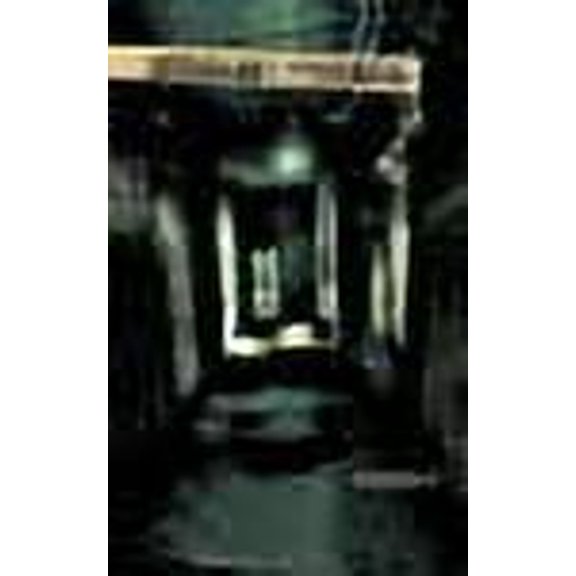 La Casa de las Sombras: Historia de un sombrÃo lugar que conserva las huellas del sufrimiento y los crÃmenes de sus habitantes. (Spanish Edition)