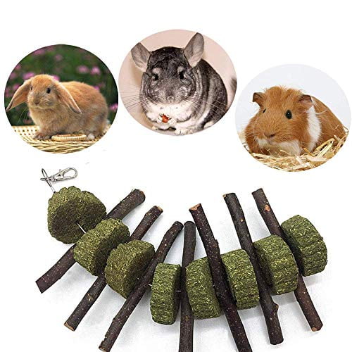 Bunny Chew Toys for Apple Sticks Improves Dental Health