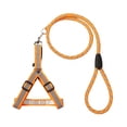 thumbnail image 4 of Pet Dog Collar Traction Rope High Quality Outdoor Anti-lost Nylon Ropes Training Leash Slip Lead Strap Collar, 4 of 8