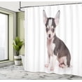 thumbnail image 5 of Ambesonne Chihuahua Shower Curtain, Ears Innocent Eyes, 69"Wx75"L, Pale Eggshell and Taupe, 5 of 5