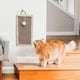 thumbnail image 5 of Rascador de pared para gatos, almohadilla rascadora vertical para gatos montada en el piso o la pared para gatos de interior, adultos o gatitos, protector de muebles de pared para gatos, 5 of 7