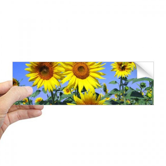 Sunshine Flowers Sunflowers Blue Sky Rectangle Bumper Sticker Notebook Window Decal