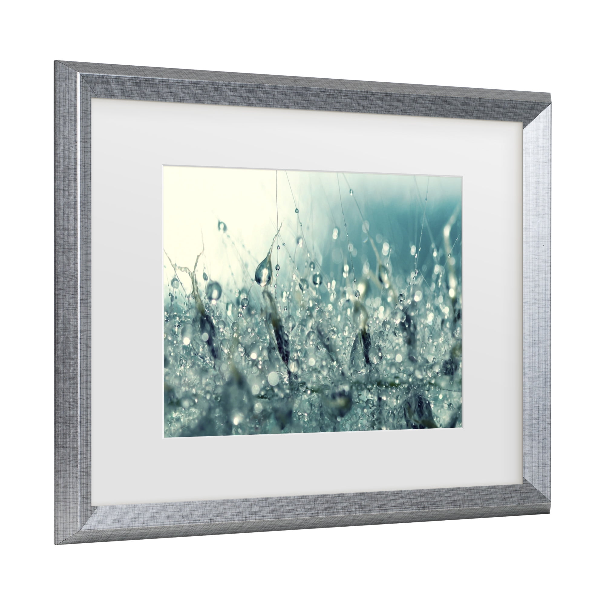 Trademark Fine Art 'Under the Sea' Canvas Art by Beata Czyzowska Young