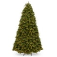 thumbnail image 4 of National Tree Company Pre-Lit Feel Real® Artificial Christmas Tree, Newberry® Spruce, Green, Dual Color® Lights, LED, PowerConnect System, Includes Stand, 9 Feet, 4 of 5