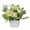 Champagne, variant on Dengjunhu Artificial Potted Flowers, Fake Plant Small Faux Potted Plants, Artificial Small Flower in Pot for Home Office, Dining Room Farmhouse Table Centerpieces Decoration