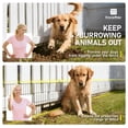 thumbnail image 5 of FencerWire 26 Pack Garden Animal Barrier Fences, 1.5" Gap Under Fence Guard for Dogs, Easy Install 16"H x 12"W No Dig Pet Deterrent Panels, Metal Outdoor Animal Barrier for Yard, Patio, Garden, 5 of 8