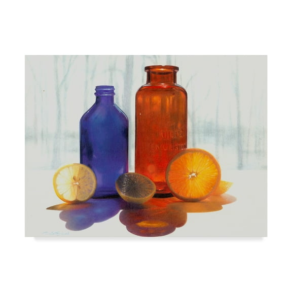 Trademark Fine Art 'Bottles and Slices final' Canvas Art by Cecile Baird