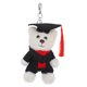 thumbnail image 1 of Lindo llavero de oso de graduación, encantador llavero de oso para la temporada de graduación, llavero de animal de peluche, animales de dibujos animados, colgante para bolso, 1 of 7