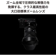 Sigma 24-70mm f/2.8 DG DN Art Lens for Leica L