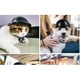 thumbnail image 4 of Casco para perro fresco de 10 cm, gorra ajustable para cachorro, casco negro para mascotas, nueva gorra de seguridad de locomotora para perros, accesorios para gatos, juguetes para mascotas, sombrero,, 4 of 4