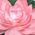 thumbnail image 3 of SKISUNO 1Pack Floating Aquarium Plants EVA Pond Decor Pink, 3 of 6