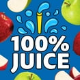 thumbnail image 4 of Capri Sun 100% Juice Apple All-Natural Juice from Concentrate with added ingredients, 10 ct Box, 6 fl oz Pouches, 4 of 16