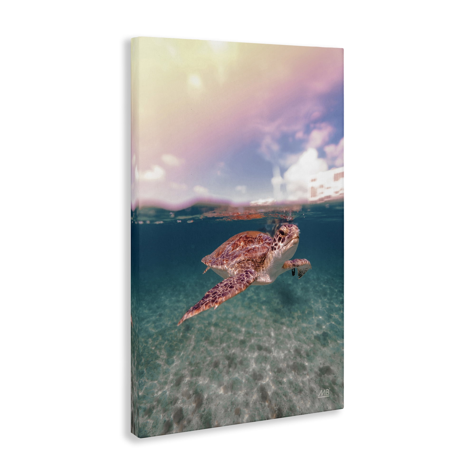 Stupell Industries Above & Below Sea Turtle Animals Photography Wrapped Canvas Art Print Wall Art, 20 x 30