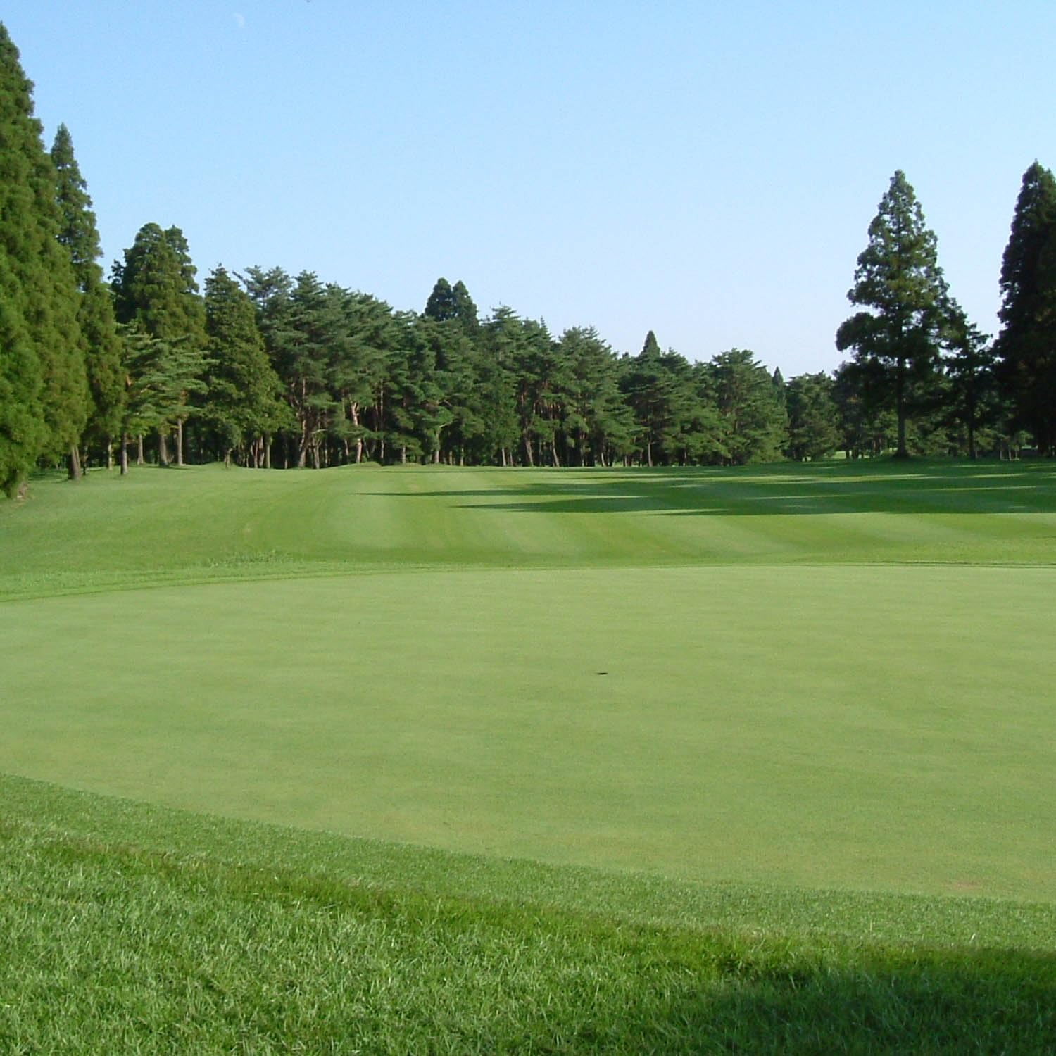 Outsidepride 1 lb. A-List Turf T-1 Coated Creeping Bentgrass Seed for Putting Greens, Tees, & Fairways