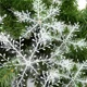 thumbnail image 3 of Adornos navideños de copos de nieve blancos artificiales, colgantes para árbol de Navidad, bricolaje, copos de nieve falsos, decoración para el hogar, regalos para fiestas de Año Nuevo, 3 of 4
