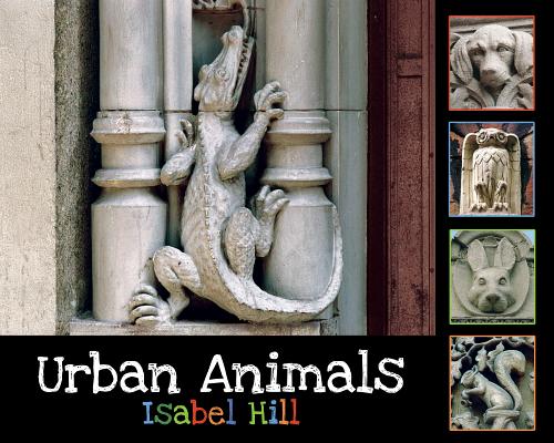 Urban Animals Urban Animals