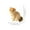 A, variante sur Hxlamzoo Jouets pour Enfants Pétrissage Simulation Animal de Compagnie Soulagement du Stress Jouets de Soulagement du Stress Jouets Liquidation
