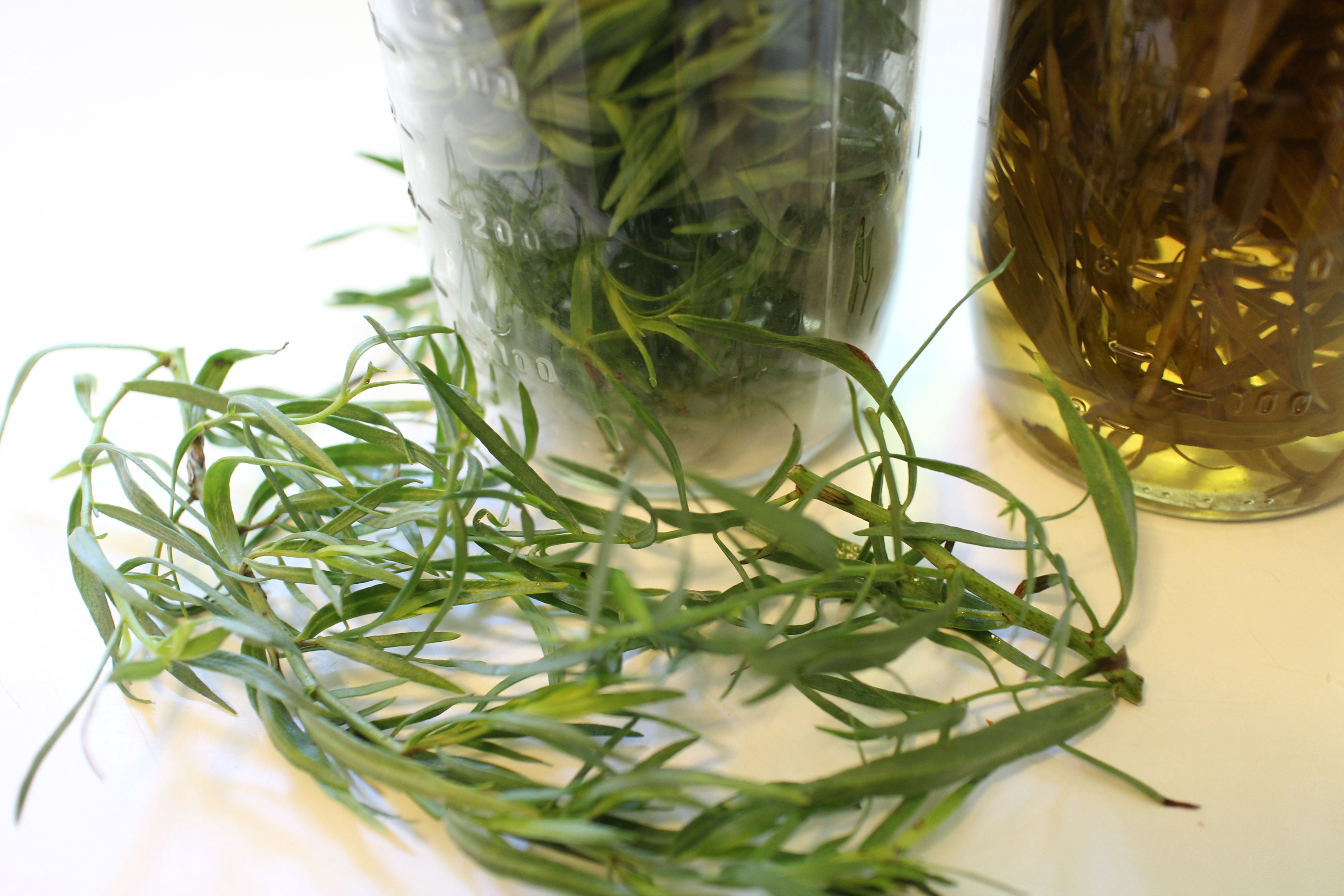 Clovis Reims France Tarragon Vinegar - 34 fl oz French Wine Vinegar and Tarragon