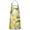 Fruits Lemon, variant on Apron Rainbow Cute Bib Apron Cool Adjustable Apron for Anniversary Bridal Shower Wedding