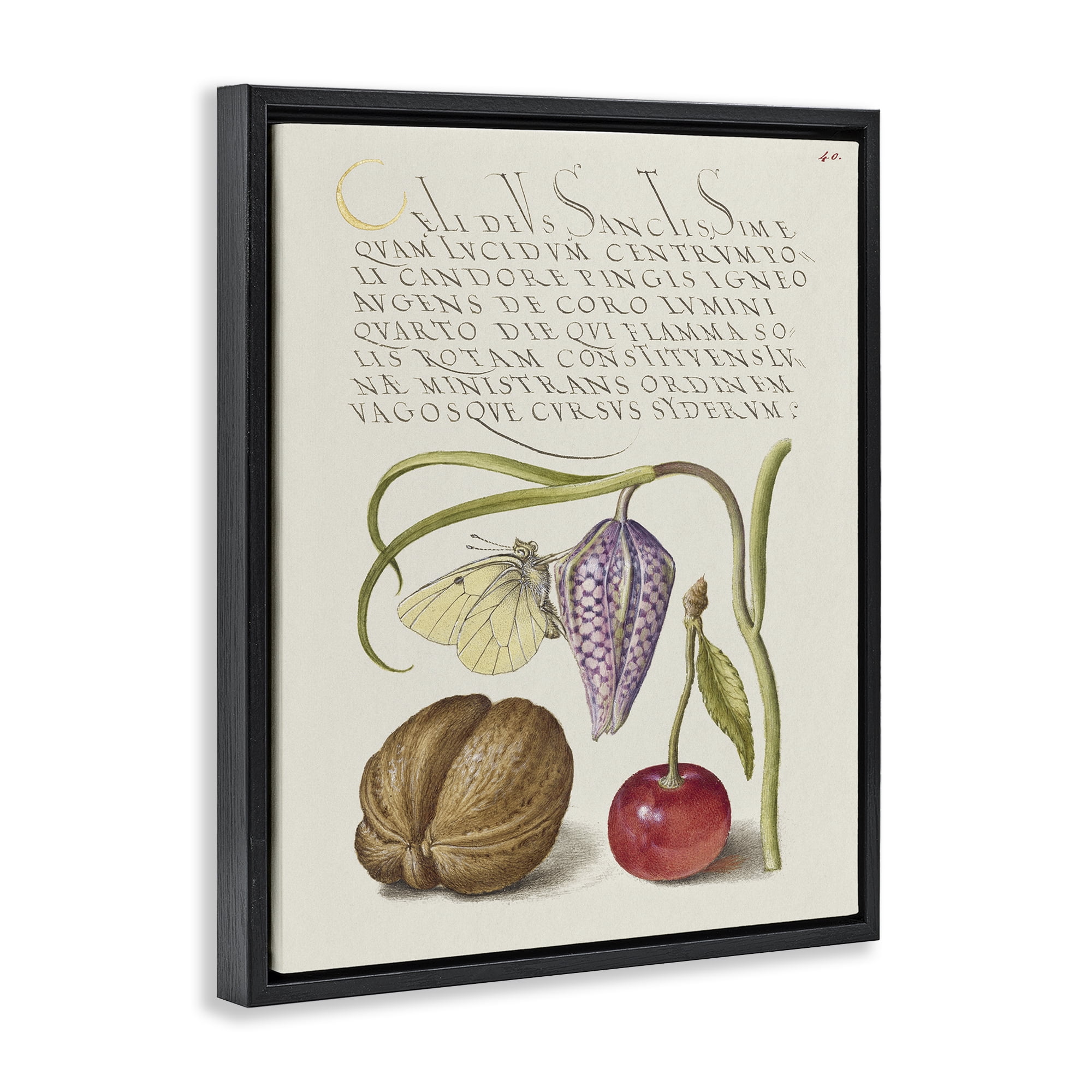Stupell Industries Woodland Flora Study Text & Numbers Painting Black Floater Framed Canvas Art Print Wall Art, 17 x 21