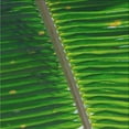 thumbnail image 1 of Ahgly Company Machine Washable Indoor Square Transitional Deep Emerald Green Area Rugs, 7' Square, 1 of 7