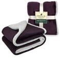 thumbnail image 2 of PAVILIA Plush Sherpa Fleece Throw Blanket Purple Plum | Soft, Warm, Fuzzy Eggplant Throw for Couch Sofa | Solid Reversible Cozy Microfiber Fluffy Blanket, 50x60, 2 of 7
