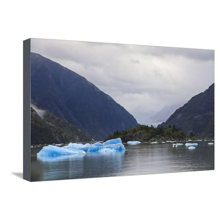 Blue icebergs and face of Sawyer Glacier, mountain backdrop, Stikine Icefield, Tracy Arm Fjord, Ala Stretched Canvas Print Wall Art By Eleanor