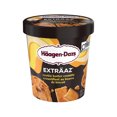 thumbnail image 1 of HAAGEN-DAZS EXTRÄAZ Cookie Butter Crumble, Vanilla Ice Cream, Cookie Butter Ripple, 450 ml, 1 of 6