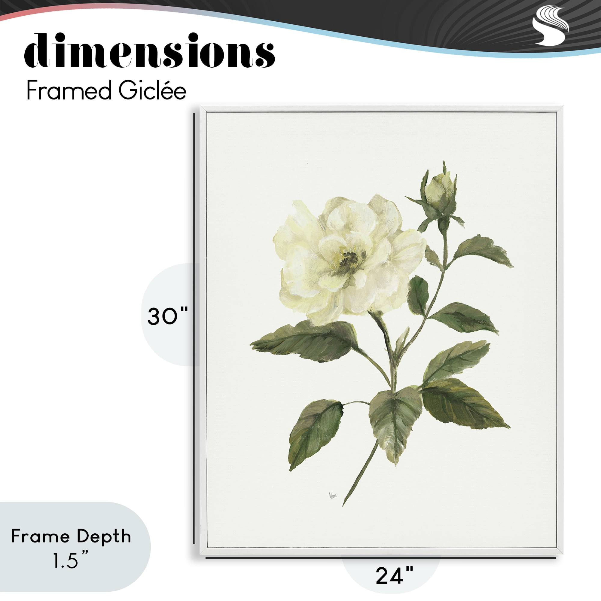 Stupell Industries Ivory Rose Bloom With Green Foliage White Framed Giclee Art, design by Nan