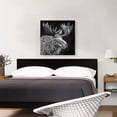 thumbnail image 2 of ARTCANVAS Bull Moose Elk Antlers Black White Canvas Art Print - Size: 26" x 26" (0.75" Deep), 2 of 9