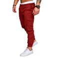 thumbnail image 2 of Innerwin Bas Taille Élastique Pantalon Homme Sport avec Multiples Poches Pantalon Uni Rouge Vin G, 2 of 3