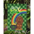 thumbnail image 3 of Longhair Chocolate and Tan Dachshund St. Patricks Day Flag Garden Size, 3 of 3